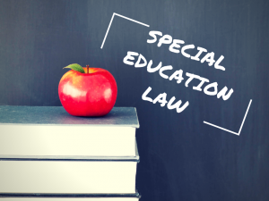 The Right to Special Education in New Jersey