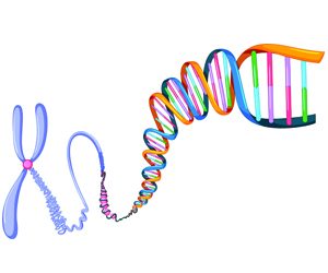 Development of Gene Editing Advancing Rapidly