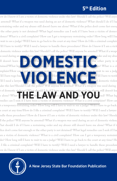 Domestic Violence 2024-cover