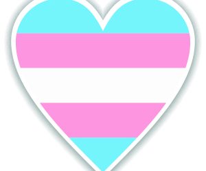 Transgender Teens Face Discrimination from Gender-Affirming Care Bans