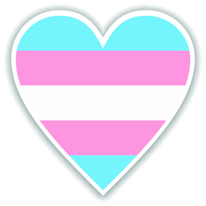 Transgender Teens Face Discrimination from Gender-Affirming Care Bans