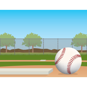 Combatting Violence at Youth Sporting Events