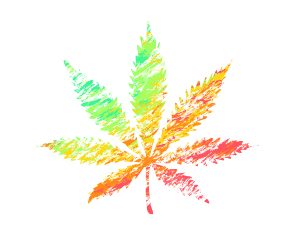 The Discriminatory Consequences of America’s War on Drugs