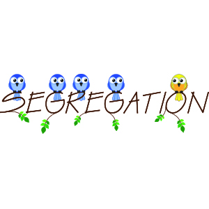 Freedom Gives Way to Segregation